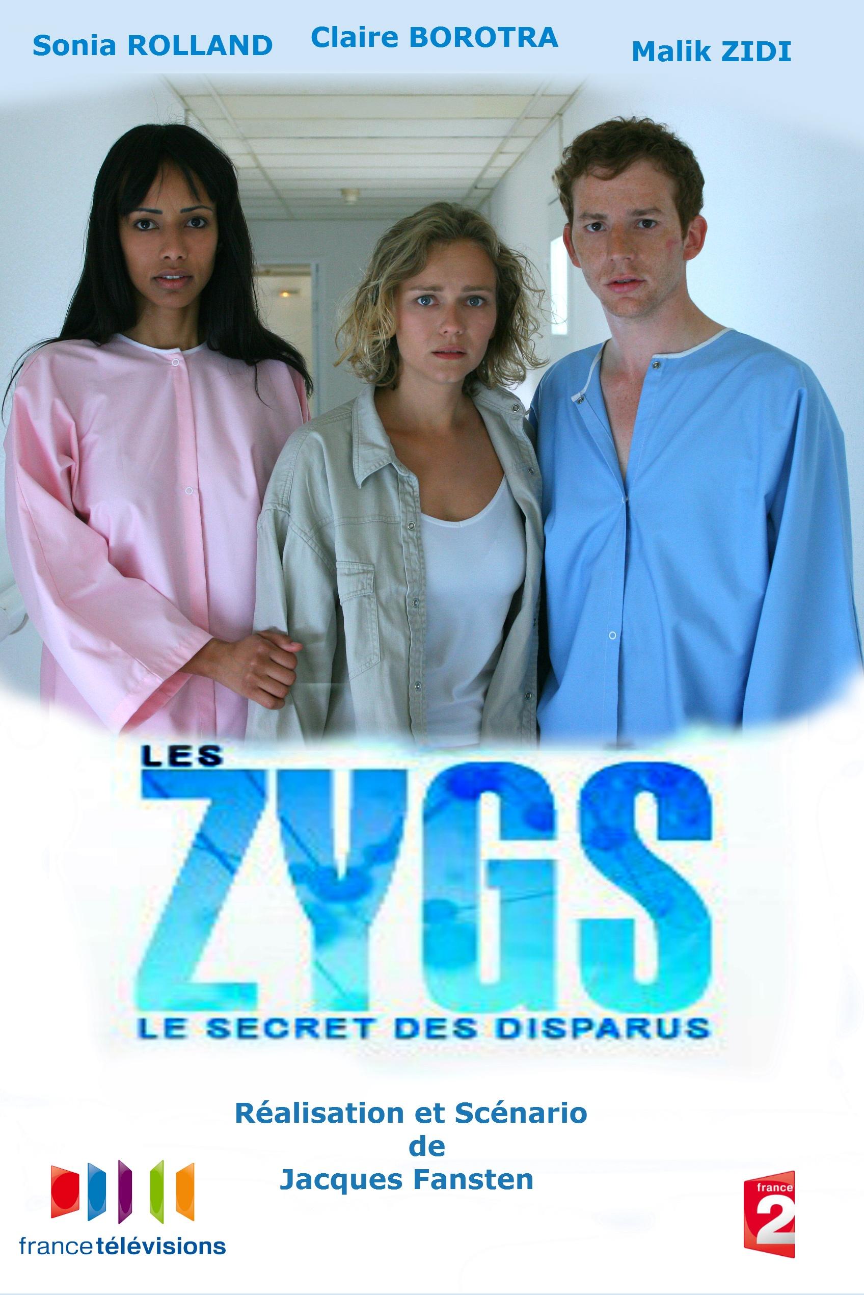 постер Les zygs le secret des disparus